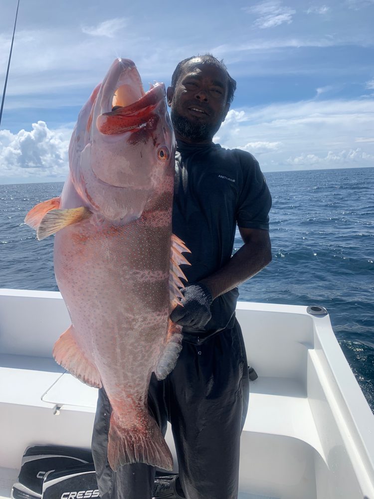 Fishing, Goidhoo, Maldives