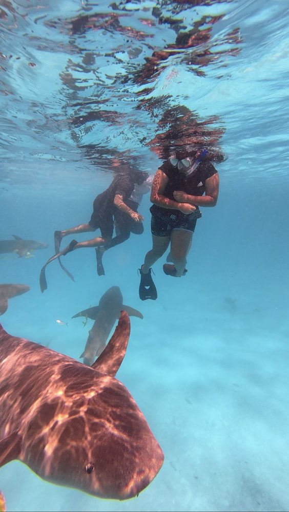 Snorkeling, Goidhoo, Maldives