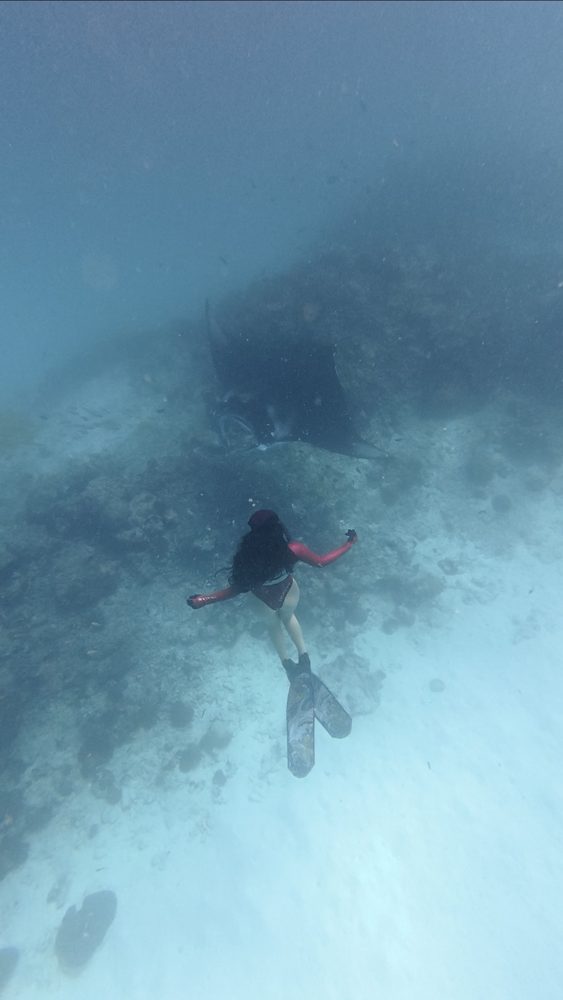 Snorkeling, Goidhoo, Maldives