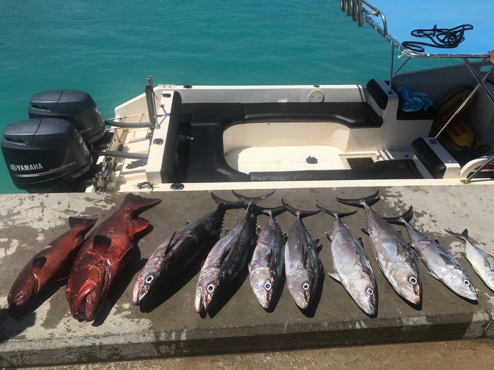 Spearfishing, Goidhoo, Maldives