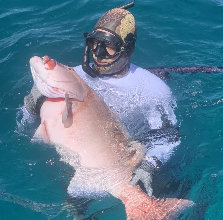 Spearfisher in the water holding a large red grouper